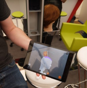 Butinages_Hairteach3D